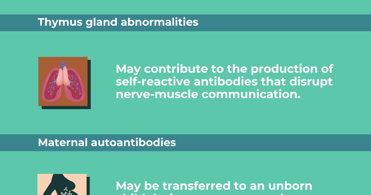 Myasthenia Gravis Causes Myasthenia Gravis News