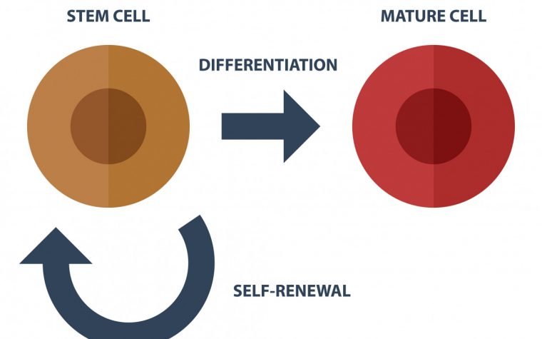 EC Approves Soliris for Anti-AChR Antibody-Positive EC Approves Soliris for Anti-AChR Antibody-Positive