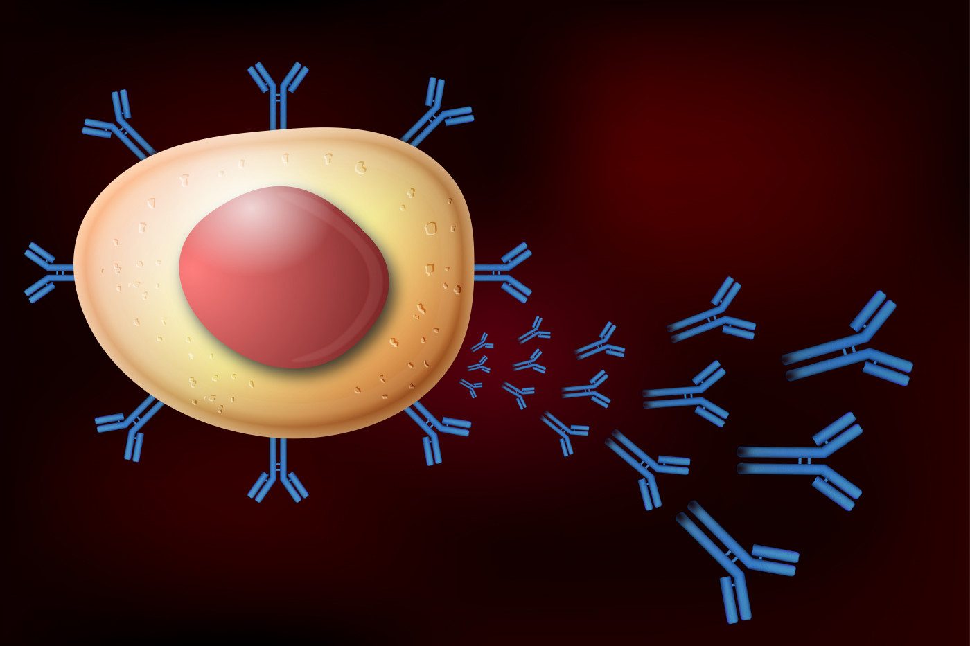 Mg Patients Il 23 Th17 Pathway May Be New Therapeutic Target Study Finds