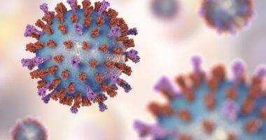 COVID-19 immunosuppressants