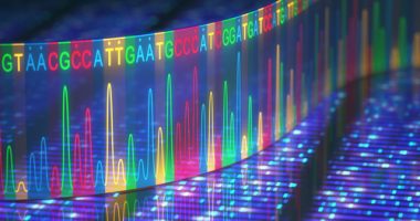 Gene variation in MG