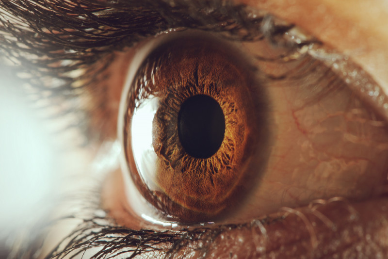 test ocular în golitsyno cum se restabilește miopia cu un laser