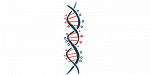 Thymoma | Myasthenia Gravis News | illustration of genes