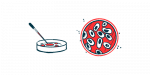 Human-on-a-Chip model | Myasthenia Gravis News | illustration of petri dishes