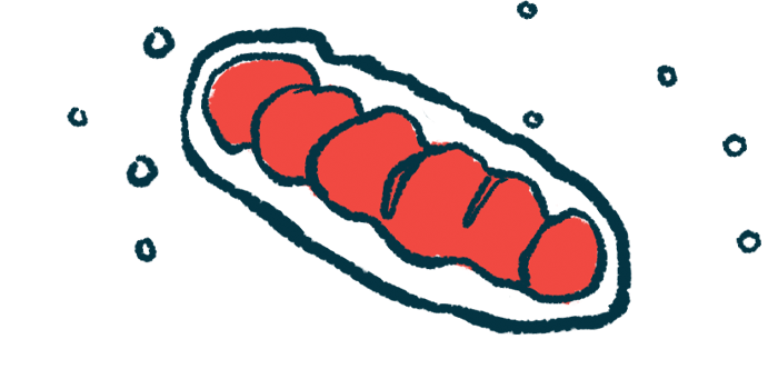 mitochondria | Myasthenia Gravis News | mitochondria illustration