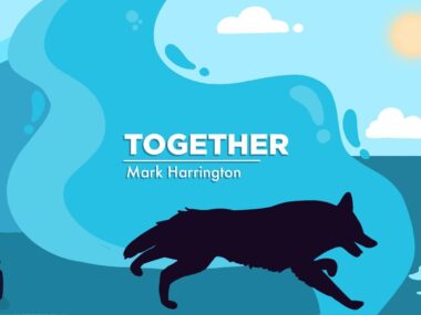 main banner for Mark Harrington's 