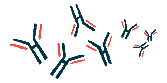 An illustration shows a cluster of antibodies.