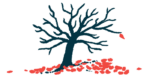 An illustration of a dead tree to symbolize mortality.