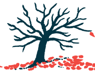 An illustration of a dead tree to symbolize mortality.