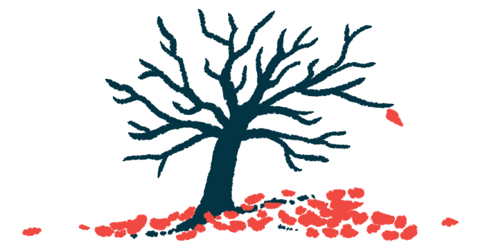 An illustration of a dead tree to symbolize mortality.