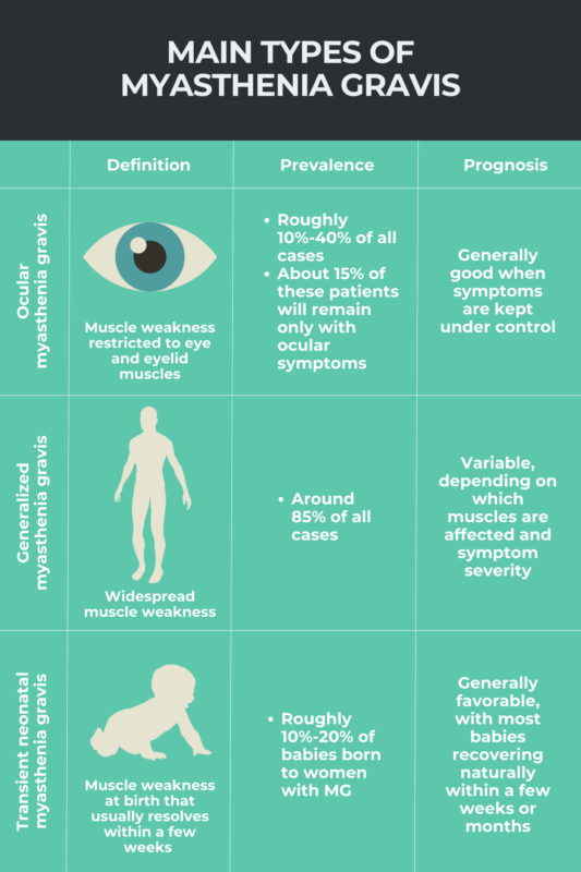 Infographic showing the main types of myasthenia gravis