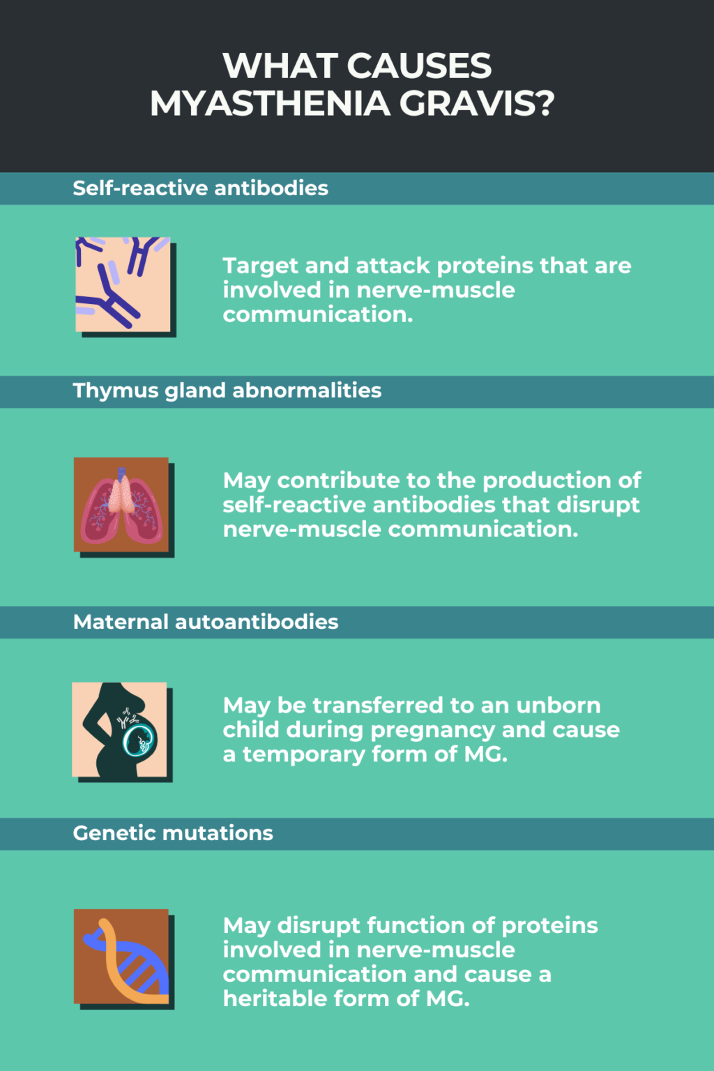 Myasthenia Gravis Causes Myasthenia Gravis News 9948