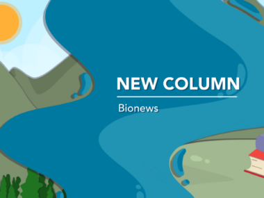 banner for a new columnist / new column