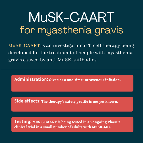 MuSK-CARRT for myasthenia gravis