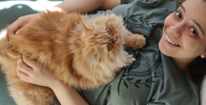 A very cool-angled photo of a growing Persian cat and a young woman on the couch. The cat rests comfortably on the woman, and both are looking up at the camera. The woman is smiling. The cat looks grumpy, like all Persian cats do, although we can't tell if that's true or not. Sunlight filters in at the top of the frame. 