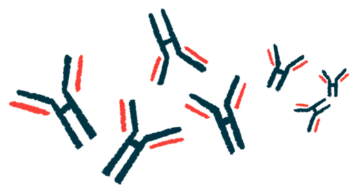 An illustration shows a cluster of antibodies.