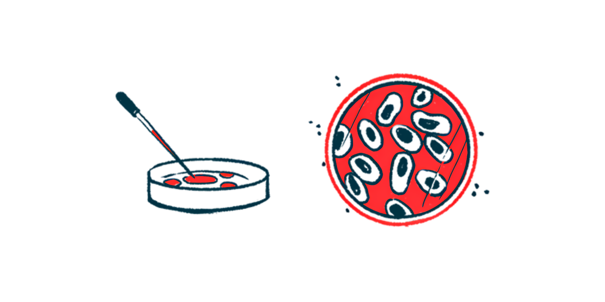 A dropper is seen poised over a petri dish alongside an aerial view of a second petri dish.
