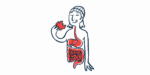 In this illustration of digestion, a person eats an apple, with their digestive system visible.