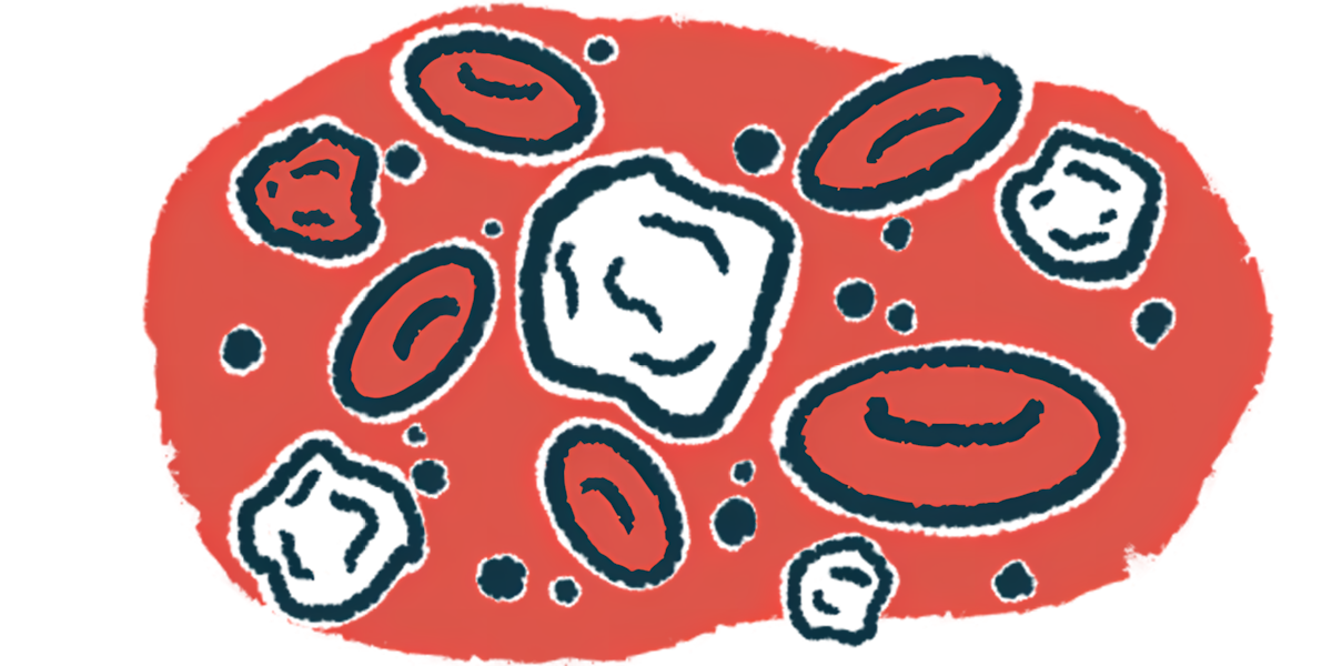 Illustration of immune cells and red blood cells circulating in the bloodstream.