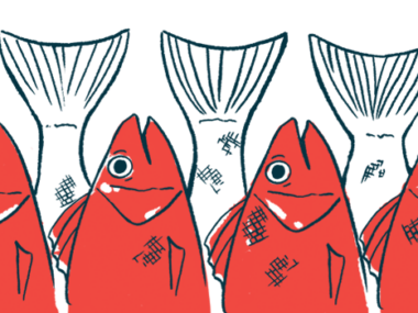 Illustration of four fish heads and tails.