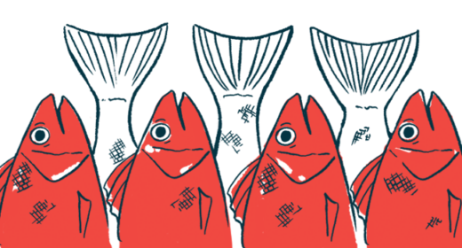 Illustration of four fish heads and tails.