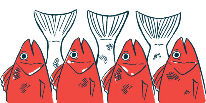 Illustration of four fish heads and tails.