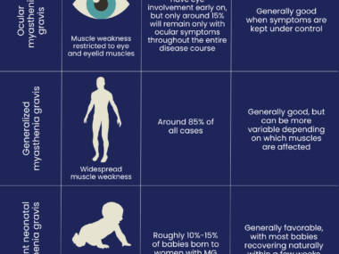 A chart illustrating the main types of Myasthenia Gravis.