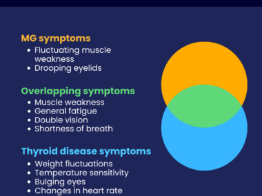 An illustration showing the symptoms of MG and thyroid disease.